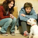 Image for the Film programme "Hotel for Dogs"