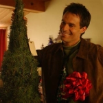 Image for the Film programme "A Boyfriend for Christmas"