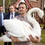 Image for episode "A Rare Bird" from Drama programme "Midsomer Murders"