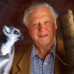 Image for the Nature programme "The Life of Mammals"