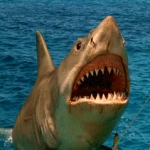 Image for the Film programme "Jaws 4: The Revenge"