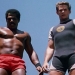 Image for American Ninja 2: The Confrontation