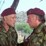 Image for the Film programme "The Wild Geese"