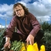 Image for The View From River Cottage