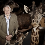 Image for episode "Understanding the Natural World" from Nature programme "Attenborough: 60 Years in the Wild"