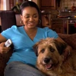 Image for the Film programme "Dr. Dolittle: Million Dollar Mutts"