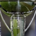 Image for Six Nations Rugby Union