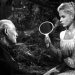 Image for Wild Strawberries