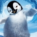 Image for Happy Feet Two