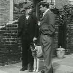 Image for the Film programme "The Gay Dog"