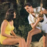 Image for the Film programme "Blue Hawaii"