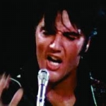 Image for the Film programme "This is Elvis"