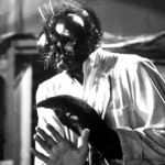 Image for the Film programme "The Fly"