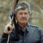 Image for the Film programme "Death Wish 4: The Crackdown"