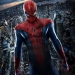 Image for The Amazing Spider-Man