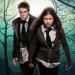 Image for Wolfblood