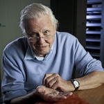 Image for the Nature programme "David Attenborough's Rise of Animals: Triumph of the Vertebrates"