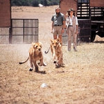 Image for the Film programme "Living Free"