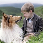 Image for the Film programme "Lassie"