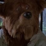 Image for the Film programme "The Country Bears"