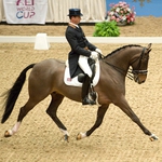 Image for the Sport programme "FEI World Cup Dressage"
