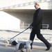 Image for Paul O‘Grady: For the Love of Dogs