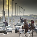 Image for the Film programme "King of the Travellers"