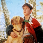 Image for the Film programme "Far From Home: The Adventures of Yellow Dog"