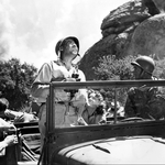 Image for the Film programme "Dragonfly Squadron"