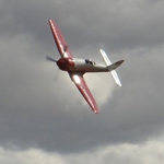 Image for the Film programme "Cloud Dancer"