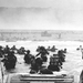 Image for D-Day: The Last Heroes