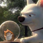 Image for the Film programme "Bolt"
