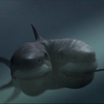 Image for the Film programme "2-Headed Shark Attack"