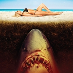 Image for the Film programme "Sand Sharks"