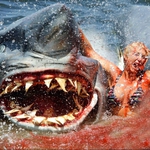 Image for the Film programme "2 Headed Shark Attack"