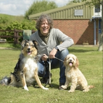 Image for Documentary programme "The Dog Rescuers with Alan Davies"