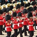 Image for Trooping the Colour