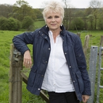 Image for episode "Julie Walters" from History Documentary programme "Who Do You Think You Are?"