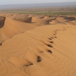 Image for the Film programme "Sea of Sand"