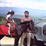 Image for the Film programme "Andaz"