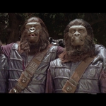 Image for the Film programme "Escape From the Planet of the Apes"