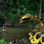 Image for the Film programme "Piranhaconda"