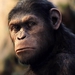 Image for Rise of the Planet of the Apes