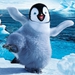 Image for Happy Feet