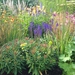 Image for RHS Hampton Court Palace Flower Show