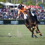 Image for the Sport programme "Polo"