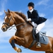 Image for Equestrian