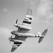 Image for Great Raids of World War II