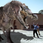 Image for the Film programme "Dinocroc v Supergator"
