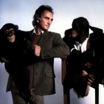 Image for the Film programme "Link"